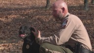 Arkansas Game and Fish K9 finds lost hunter in woods after tracking scent