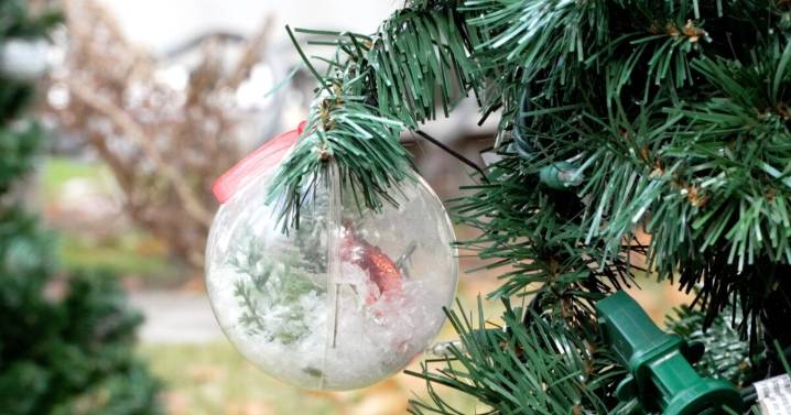 Christmas in Kernville has been disrupted after thieves steal holiday items