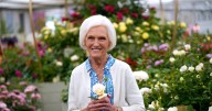 Mary Berry, 90, says husband is 'terribly frail' as she makes vow to him