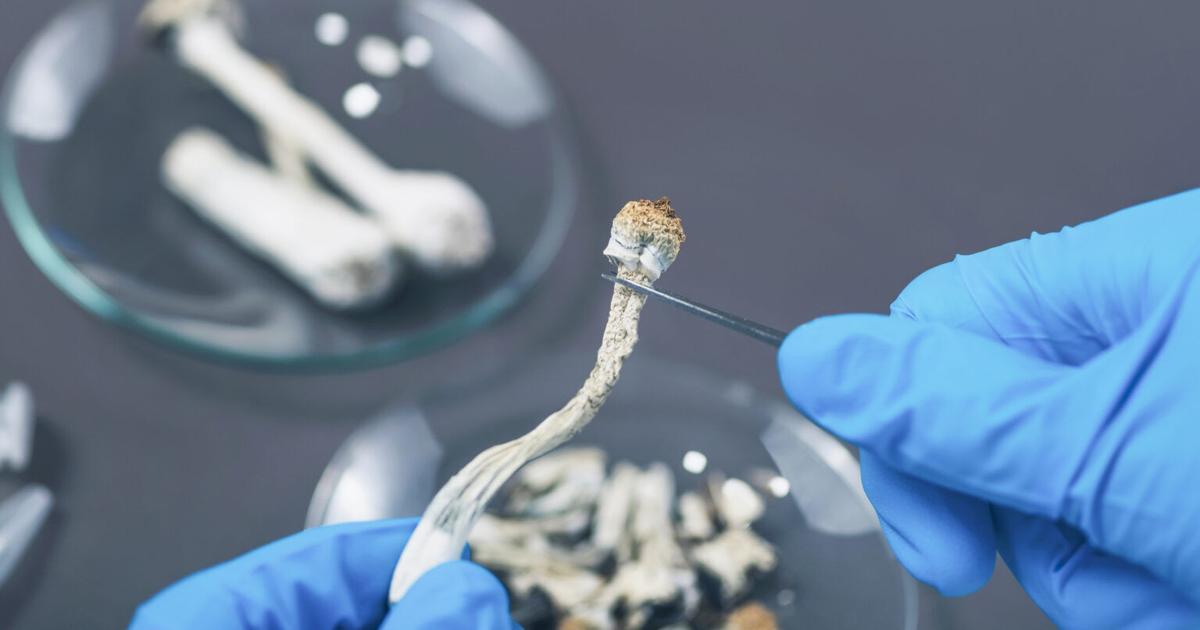 New Jersey legislators advance bill to legalize psychedelic drug found in mushrooms