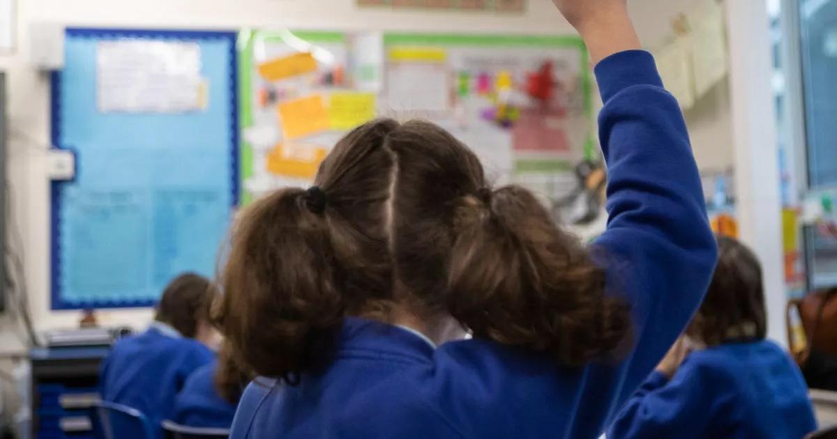 Spotting fake news and managing money - how children will be taught to navigate real life