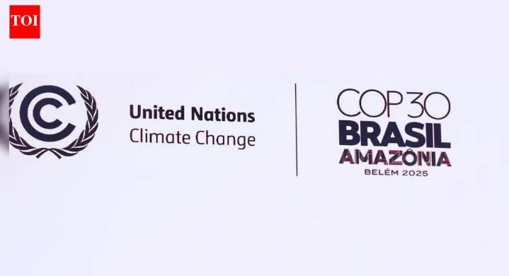 COP30 ends with mixed results, agrees to triple adaptation funds but fails on roadmap to phase out fossil fuels