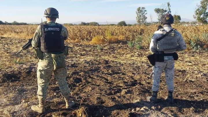 Aseguran toma huachicolera en tierras de cultivo