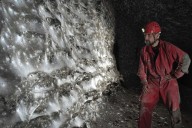 Hemos descubierto una megaciudad de arañas: una telaraña de 100 metros cuadrados donde dos especies enemigas viven en paz