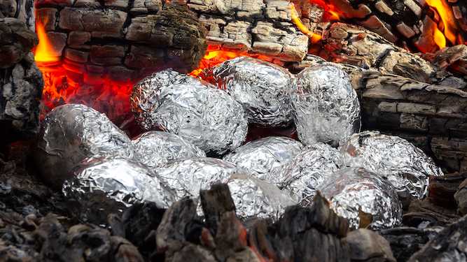 You could stick a banger up a cat's arse in my day: The gammon food critic's bonfire party