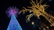 Vigo enciende su alumbrado navideño con casi 12 millones de led y aforo limitado a 7.000 personas
