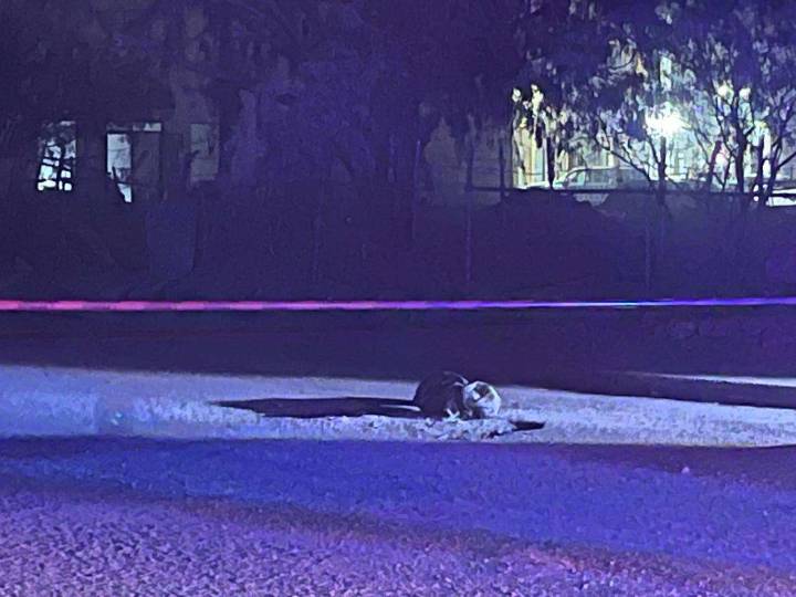 Hallan encobijado en la colonia Médanos