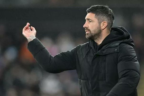 Alan Sheehan gets the boot as Swansea City owners act after poor run