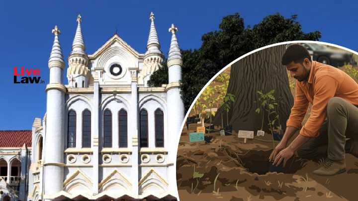 From Planting Saplings And Serving Cows To Tying Rakhi: A Look At Bizarre Bail Conditions Imposed By High Courts