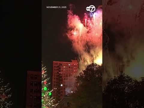 Officials Chicago Christmas Tree Lighting Ceremony