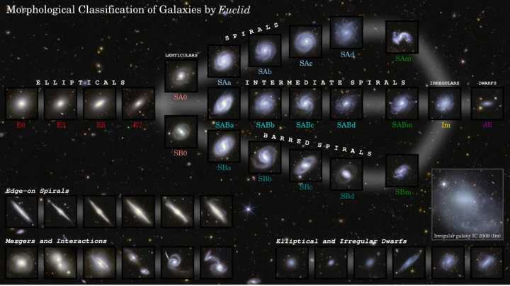 The Euclid space telescope observed 1.2 million galaxies in just 1 year. Here's what we've learned