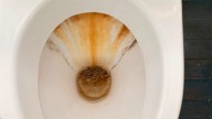 Cómo limpiar las líneas amarillas de sarro que se acumulan en el inodoro del baño y quedan horribles