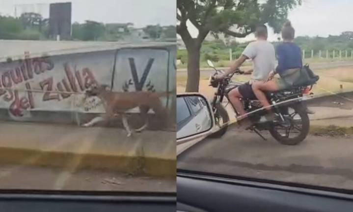 Indignación en Maracaibo por pareja que arrastró a un perro atado a una moto