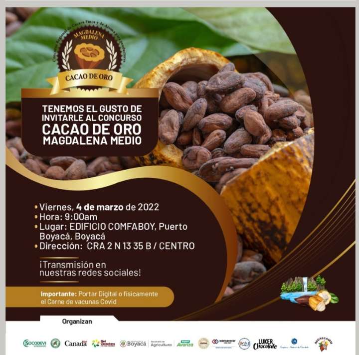 En Puerto Boyacá se realizará el segundo concurso “Cacao de Oro del Magdalena Medio”