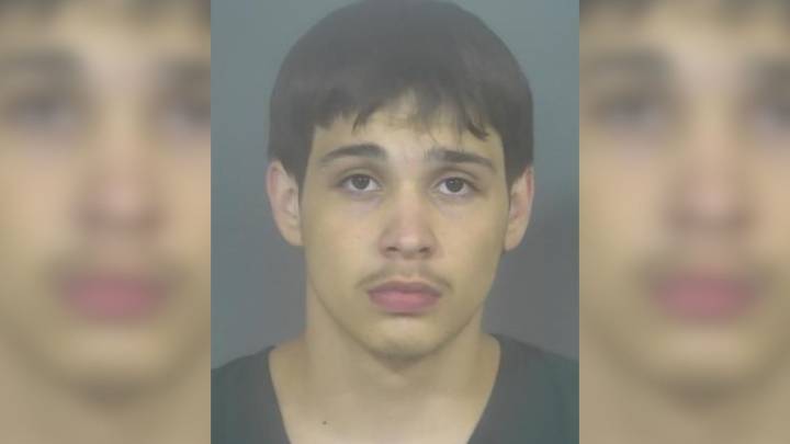 19-year-old man sentenced for road rage shooting in Berrien County