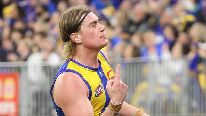 AFL 
                                            Comments
                                          
                                            Premium
                                          H