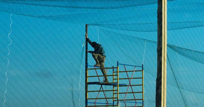 How Russian drones targeting civilians are turning one Ukrainian city into a 'human safari'