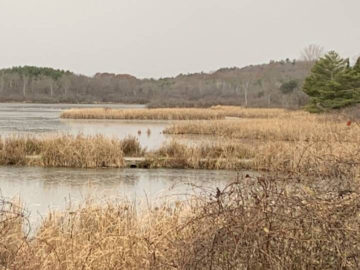 Criticism greets proposed consolidation of conservation authorities