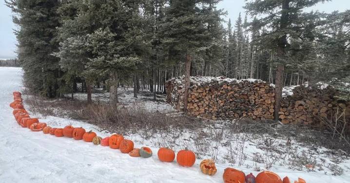 A trunk full of treats, a driveway full of pumpkins