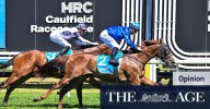 Spring racing carnival 2025: The Melbourne Cup carnival isn’t just sentimental – it’s where reputations are made, writes champion trainer Sam Freedman