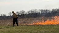 Controlled burns planned this fall in Kane County