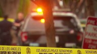 Gunmen open fire, killing a woman inside car in Northridge