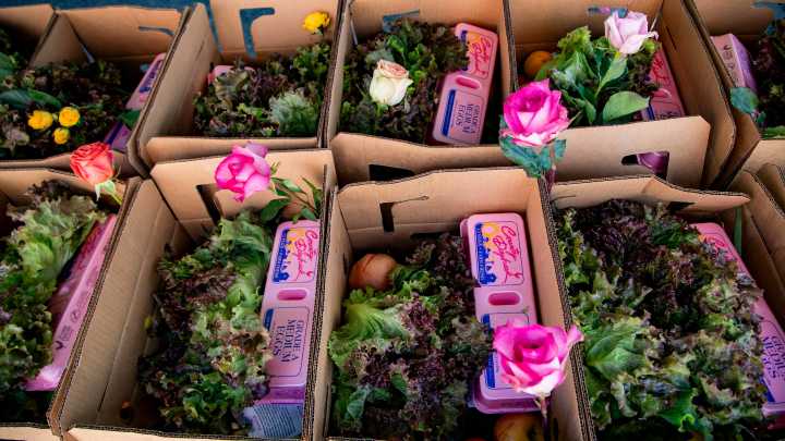 Where can you donate food in Asheville? City designates…