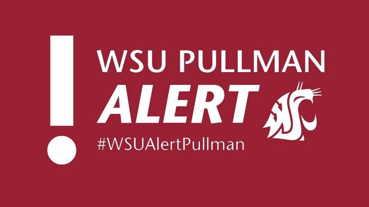 WSU study reveals higher risk of sexual violence for women on campus