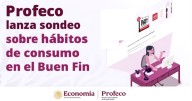 ¿Qué es lo más buscado entre los mexicanos en el Buen Fin? Profeco investiga cómo compramos: ropa, tecnología y despensa encabezan el consumo