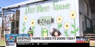 Shreveport says goodbye to DixieMaze Farms