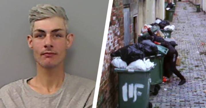 Teesside man struck dog with glass bottle and brick leaving it with 'unsurvivable' injuries