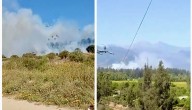 Incendio forestal descontrolado afecta al sector Las Cruces, entre Olmué y Limache
