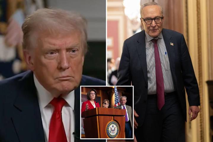 Trump argues Schumer 'made a mistake' amid Dem leader's party infighting