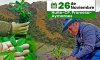 Apurímac Verde: coordinaciones avanzan para la plantación de más de un millón de árboles
