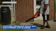 Lower Merion Township considering ban on gas-powered leaf blowers in Montgomery County, Pennsylvania