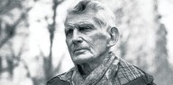Este traductor no es ningún burro: Beckett en castellano