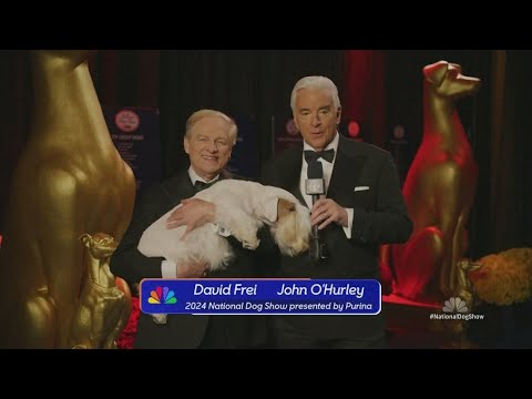 National Dog Show set for annual run as traditional Thanksgiving tie