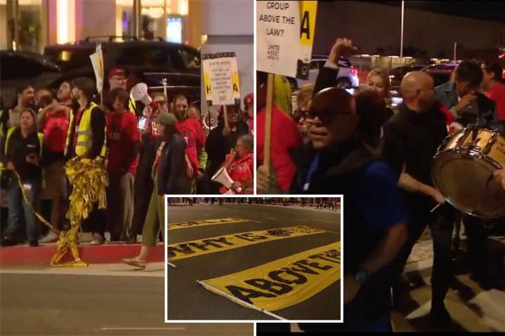 LAX protests to continue  as Thanksgiving travel surges