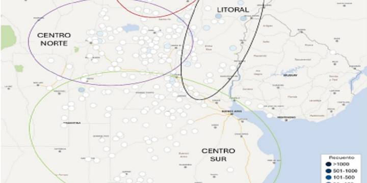 Retrocede la chicharrita