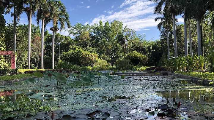 Llegó noviembre: este es el pronóstico del clima para Sinaloa este domingo