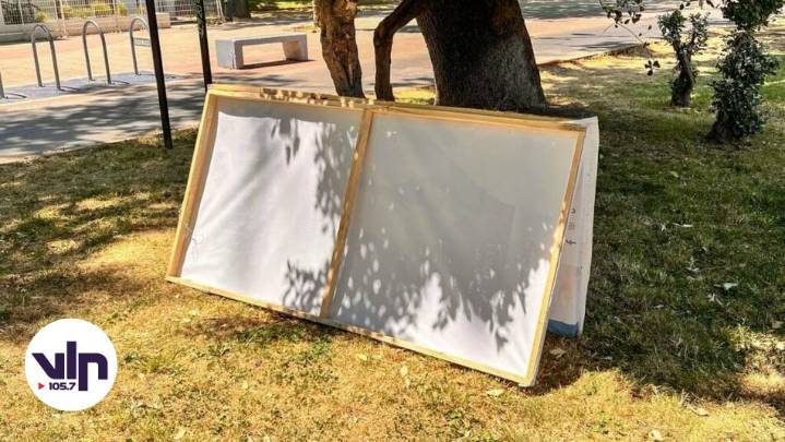 Municipalidad de Curicó hace un llamado a los candidatos a donar palomas en desuso