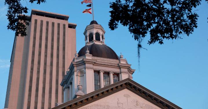 Controversial Florida bill to lower rifle purchase age moves through House, could reverse post