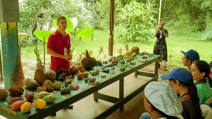 Los Saberes Culturales, el Tesoro Vivo de los Jardines Botánicos Mexicanos