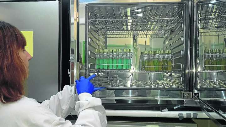 El Gobierno inicia el proceso para elegir sede de la Agencia de Salud, a la que opta Aragón