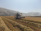 Congreso: pleno aprueba acuerdo de intercambio de comunicaciones entre Perú y la FAO