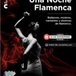 “Una Noche Flamenca” en el Cabildo...