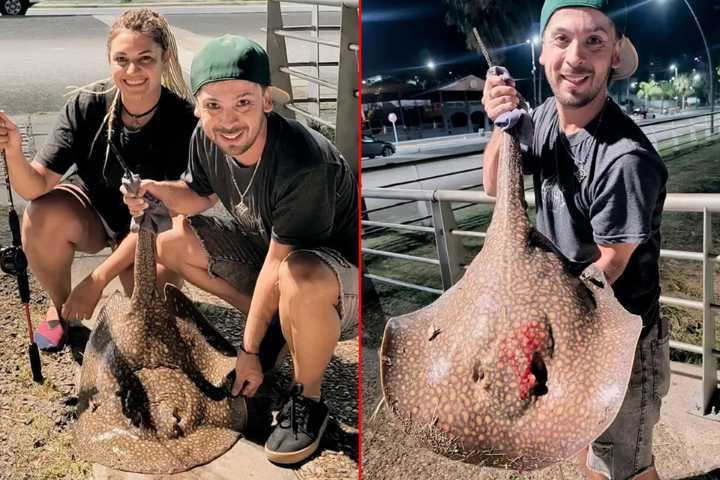 Pescadores capturaron una raya moturú desde un muelle de la costanera de Paraná
