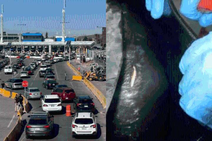 Decomisan 13 millones de dólares en droga en la Garita de San Ysidro