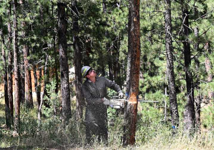 Larimer County awarded $9.8 million wildfire defense grant for Gateway to the Rockies