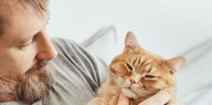 Así impacta en nuestro cerebro tener un gato como mascota